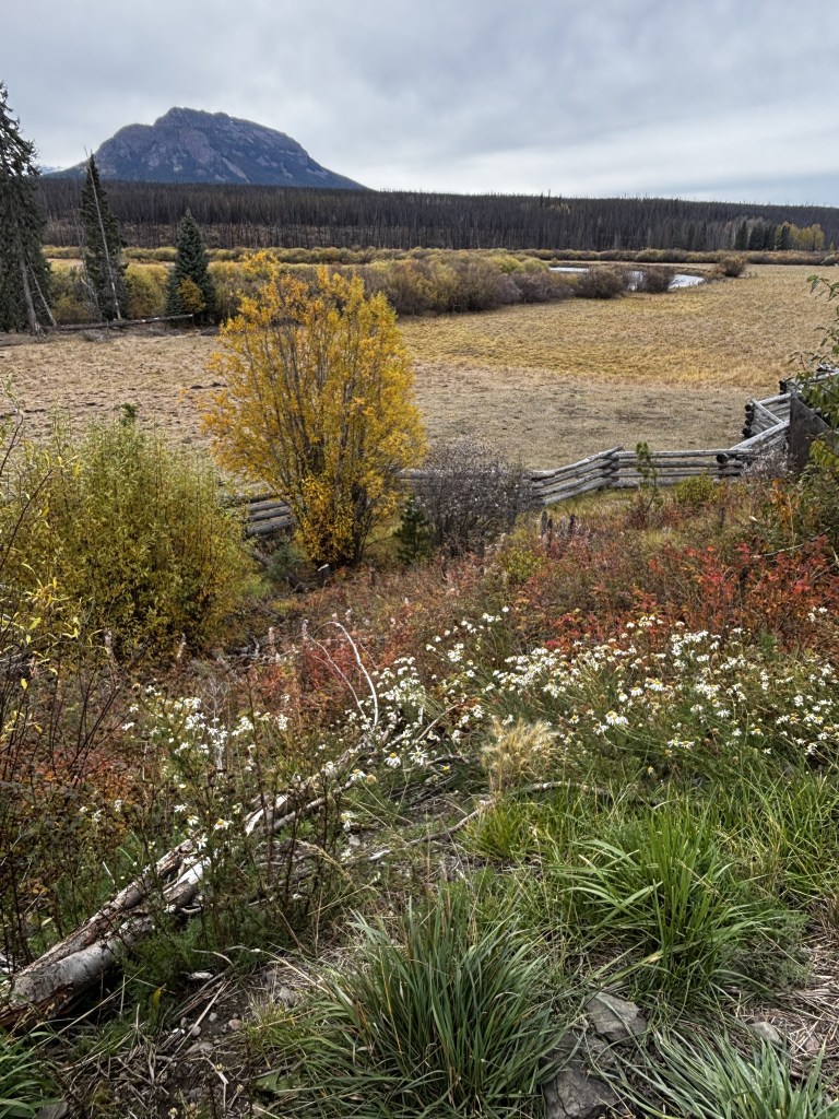 ranch